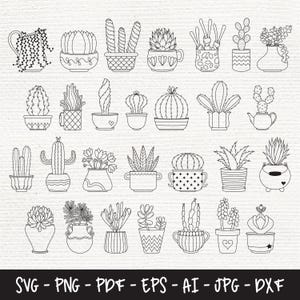 Paquete de cactus SVG, Decoración de cactus SVG, Archivos DXF para láser, Archivos SVG para camisetas, Suculentas PNG, Plantas en maceta SVG, Plantas de interior JPG
