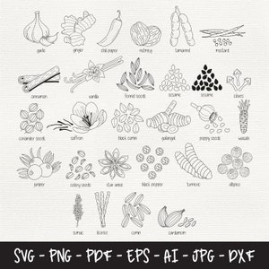 Bundle Svg épices, cuisine épices svg, svg ferme, fichiers DXF pour laser, épices pot étiquette Svg, mignon cuisine étiquette Svg