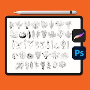 Puede incluir: Un dibujo digital de 48 ilustraciones en blanco y negro de línea de varios vegetales, incluyendo verduras de hoja verde, vegetales de raíz y bulbos. Las ilustraciones están dispuestas en filas sobre un fondo blanco.