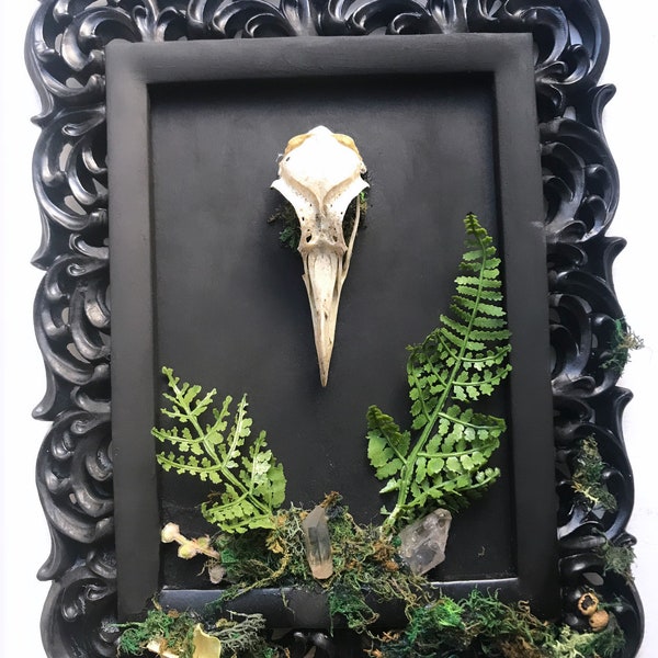 Bird Skull Foraged Frame Botanical Decor Herb Garden Wall Art Crystal wall Decor Fairy  Herbal Witchy Gift Bohemian Hippy Fern Leaf Moss
