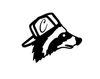 Custom Initial Raccoon Backwards hat Decal/Truck decal/Car decal/Squatted Truck decal