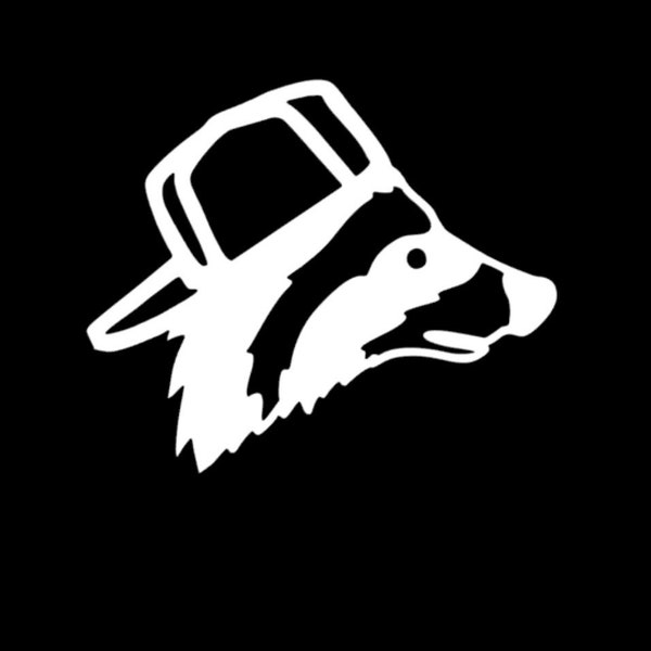 Raccoon Backwards hat Decal/Truck decal/Car decal/Squatted Truck decal