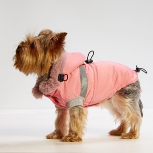dog overall, comfortable dog clothes, dog clothes, pet gifts, dog coats, reflective accessory, dog jacket, happy dog, dog care. image 1