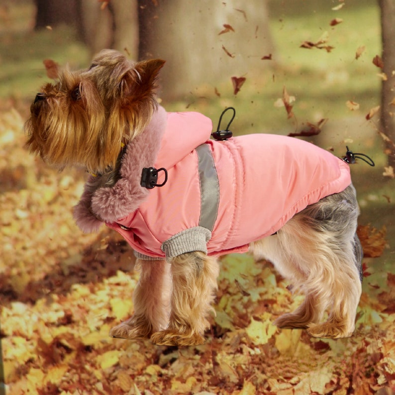 dog overall, comfortable dog clothes, dog clothes, pet gifts, dog coats, reflective accessory, dog jacket, happy dog, dog care. image 8