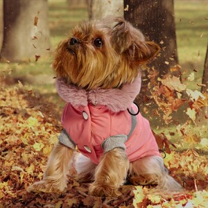 dog overall, comfortable dog clothes, dog clothes, pet gifts, dog coats, reflective accessory, dog jacket, happy dog, dog care. image 7