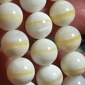 HQ Tridacna armband 12-12,5 mm