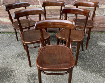 lot de 6 chaises Viennoise Bois courbé Restaurant Paris bistrot Fischel 1960 vintage Bentwood Ton style thonet Fischel