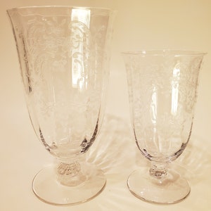 Juego de vasos de jugo y té helado transparente Fostoria Meadow Rose (2 vasos)
