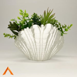 Può includere: Un vaso di ceramica bianco a forma di conchiglia con una varietà di piante verdi al suo interno.