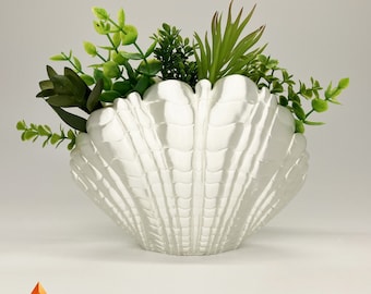 3D Printed Shell Shaped Vase/Pot Home Decor