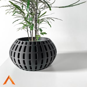 Peut inclure: Un pot noir avec un motif géométrique, présentant une plante verte aux feuilles longues et fines.