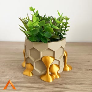 Peut inclure: Un pot hexagonal beige avec des détails dorés, contenant diverses plantes artificielles vertes. Les accents dorés semblent couler le long des côtés. Le pot est posé sur une surface en bois.