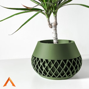 Peut inclure: Un pot de fleurs vert avec un motif géométrique, présentant une plante d'intérieur aux longues feuilles vertes.