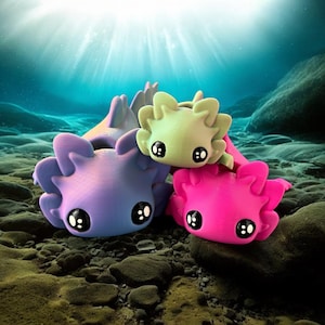 Joli têtard agité d&#39;axolotl, jouet pour enfant le plus vendu, jouet articulé imprimé en 3D, cadeau pour amoureux d&#39;axolotl, axolotl imprimé en 3D