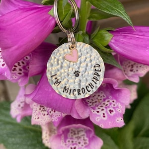 Microchipped Dog Tag – Hand stamped, hammered tags - Dog ID tag - Pet ID - Handmade Dog Tag - I&#39;m Microchipped - Pet Gift