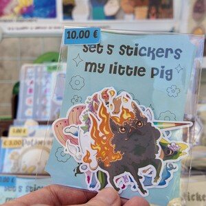 Set 5 stickers My Little Pig
