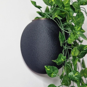 Może przedstawiać: Okrągła, czarna doniczka ścienna z fakturowaną powierzchnią. Zielona, liściasta roślina zwisa z doniczki.