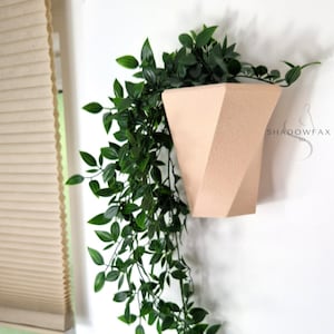 Pode incluir: Um vaso geométrico rosa claro com uma planta verde frondosa pendurada do lado. O vaso está montado em uma parede branca. O texto "SHADOWFAX 3D" é visível na parede.