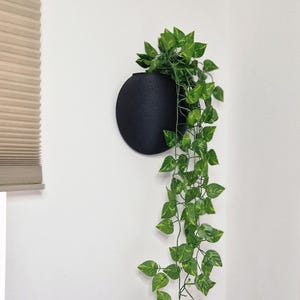 May include: A black round wall planter with a trailing green plant hanging from it. The planter is mounted on a white wall.