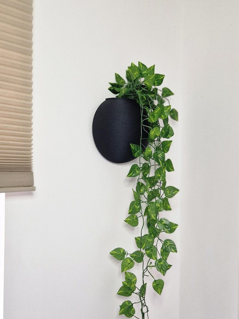 May include: A black round wall planter with a trailing green plant hanging from it. The planter is mounted on a white wall.