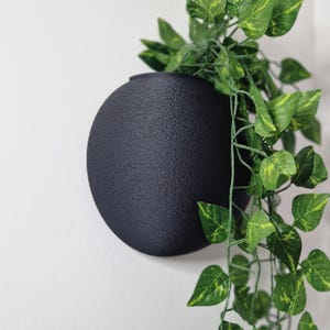 May include: A black round wall planter with a textured surface. A trailing plant with green leaves is growing out of the planter.