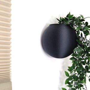 May include: A black round wall planter with a trailing green plant hanging over the side.