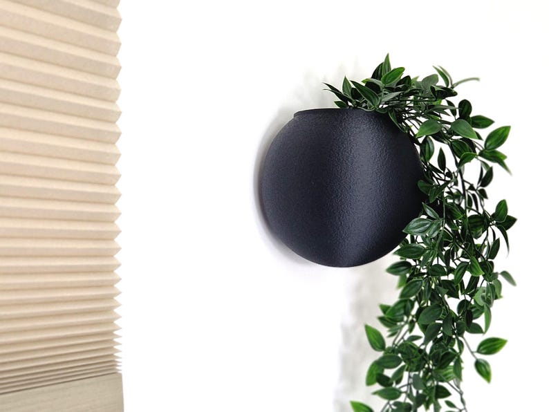 May include: A black round wall planter with a trailing green plant hanging over the side.