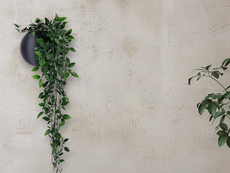 May include: A black wall planter with a trailing green plant hanging from it. The wall is textured and has a light beige color.