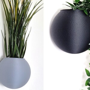 May include: Two round wall planters, one gray and one black, with a plant in each. The gray planter has a green plant with long, thin leaves. The black planter has a green plant with small, round leaves.