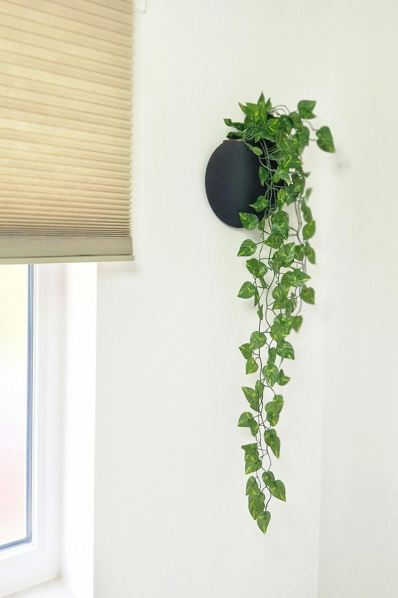 May include: A black round wall planter with a trailing green plant hanging from it. The planter is mounted on a white wall.