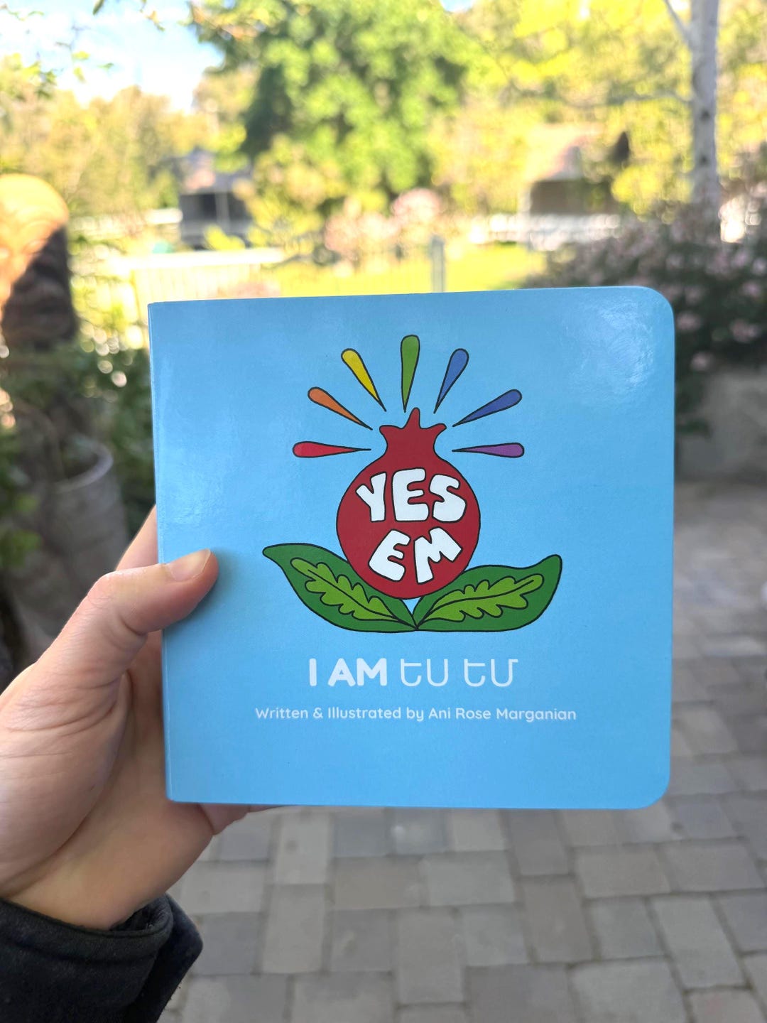 Yes Em - an Affirmation Book for All Ages - Etsy
