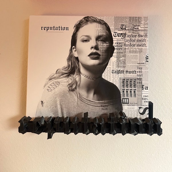 CD Holder - Reputation/ Taylor Swift / Eras tour/ Custom CD holder/ Custom vinyl shelf
