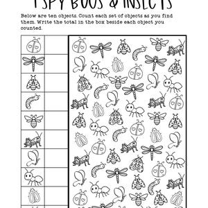 Bugs & Insects I Spy Worksheet | Spring Science, Grades K-2 (PDF Pattern)