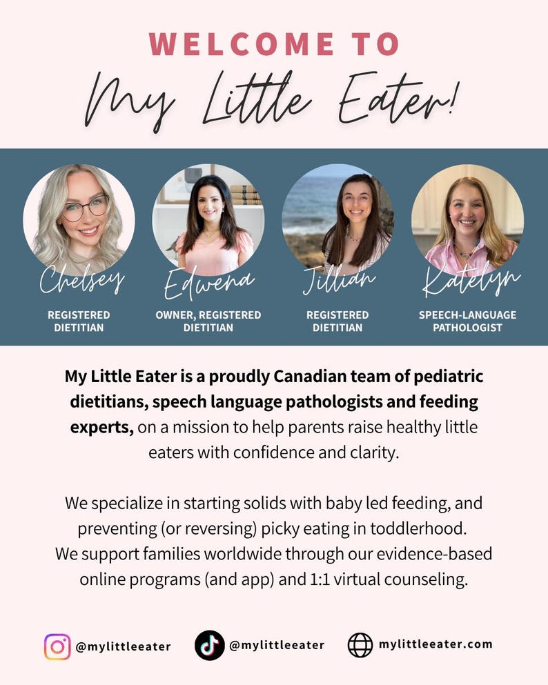 BLW Checklist Baby Led Weaning Chart First Foods Checklist Printable Digital Tracker Food Allergy Tracker Baby Food Variety Allergen Exposure New Mom Gift New Dad Gift Baby Gift