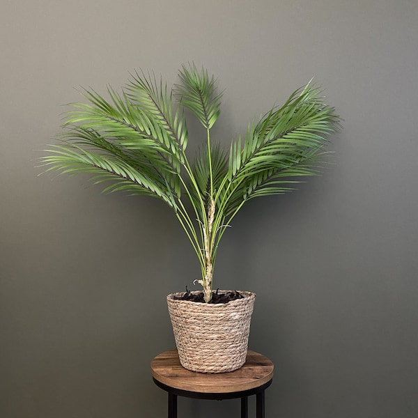 Artificial Palm Plant | Housewarming | Scandinavian Design | Nordic Plant | Artificial Plant | Home Decor | Tropical Plant | Faux Palm Plant