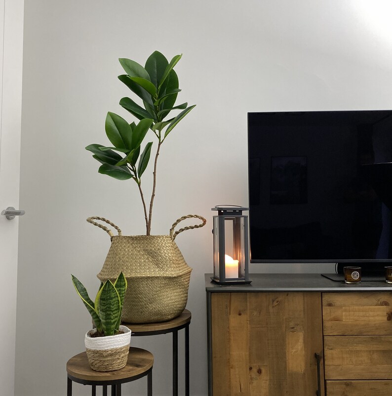 Seagrass Basket Wicker Basket Plant Pot Woven Pot Rattan Pot Boho Plant