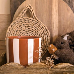 Peut inclure: Un cache-pot cylindrique en céramique à rayures verticales orange terre cuite et blanches, placé à côté d'une figurine d'écureuil en feutrine brune tenant un petit champignon à pois blancs, avec un tapis en jonc de mer et une planche en bois.