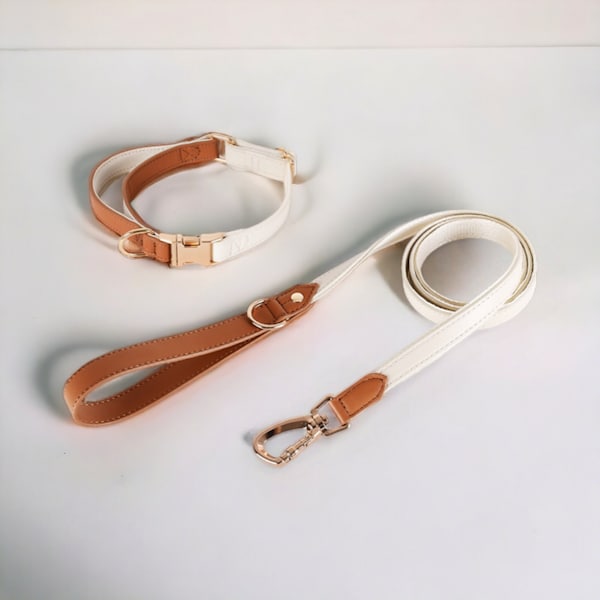 Leather Dog Collar & Leash,Handmade Solid Dog Collar Leash Brown+Gold+Orange,Engraved Metal Buckle,Puppy Gift