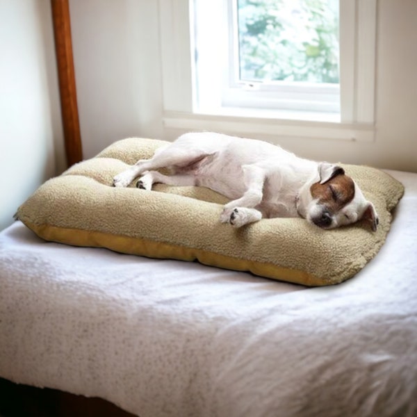 Hundebett, Haustiermatte, Hundematte Plüsch, Warm Schlafende Haustiermatte, Bequemes Hundebett, Hundehaus, Haustierbedarf, Hunde Produkte