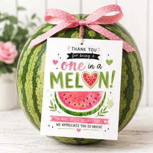 Può includere: Un'anguria intera con un nastro rosa a pois e un biglietto regalo. Il biglietto recita "THANK YOU for being a one in a MELON!" con un'illustrazione ad acquerello di una fetta di anguria. Il testo "YOU MAKE SUCH A BIG DIFFERENCE WE APPRECIATE YOU SO MUCH!" è anche sul biglietto.