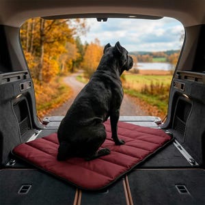 Burgund Outdoor Hundebett, personalisierte Reise Haustier Matte, Roll Up Camping Kissen, wasserdicht