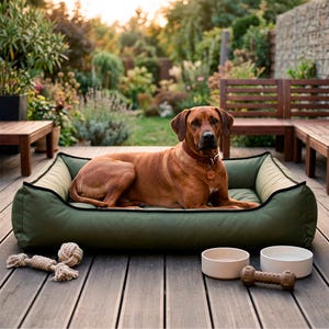 May include: A brown dog wearing a collar rests in a green dog bed with a black trim. Two beige bowls, a brown dumbbell-shaped toy, and a rope toy are on the wooden deck. The background features a garden and wooden furniture.