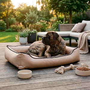 May include: A large dog with brown and black fur rests in a beige dog bed with a black trim. A rope toy and two ceramic bowls sit nearby. The dog is wearing a brown collar. The scene is set outdoors on a wooden deck.