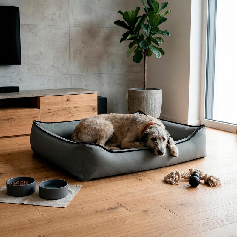 May include: A gray dog bed with a black trim, a dog, and two gray bowls on a light-colored wooden floor. The dog is light brown with a red collar. A rope toy and a black ball are next to the bed. A plant in a gray pot is in the background.