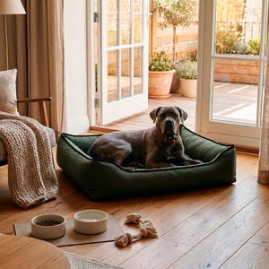 May include: A large dog rests in a dark green dog bed with black trim. Two ceramic bowls and a rope toy sit on the wooden floor. The dog is wearing a red collar.