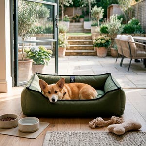 Può includere: Un cane corgi color zenzero e bianco riposa in una cuccia verde oliva con bordino nero. Due ciotole in ceramica e un giocattolo per cani sono sul pavimento. La cuccia è davanti a una porta a vetri.
