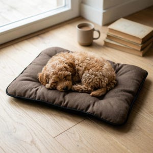 May include: A small, curly-haired, light brown puppy is curled up in a sleeping position on a rectangular, dark brown pet bed. The bed features a simple, flat design with a black piped edge, providing a soft surface for the resting animal.