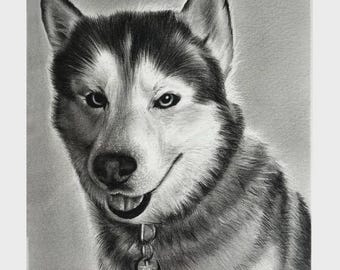 Custom Hand Drawn Pet Portrait, Pencil Pet Memorial Art