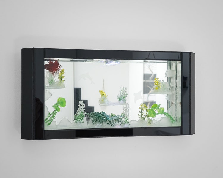 Spiegel Aquarium, Handgemacht, Selen - Schwarz&Weiss | Dekoratives Aquarium an einer Wand aufgehängt | Aus Spiegeln und Glas gemacht