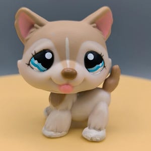 Littlest Pet Shop Husky #1012, tan/beige/white husky with cyan eyes, authentic pet figurine, LPS dog collection, collectors gift